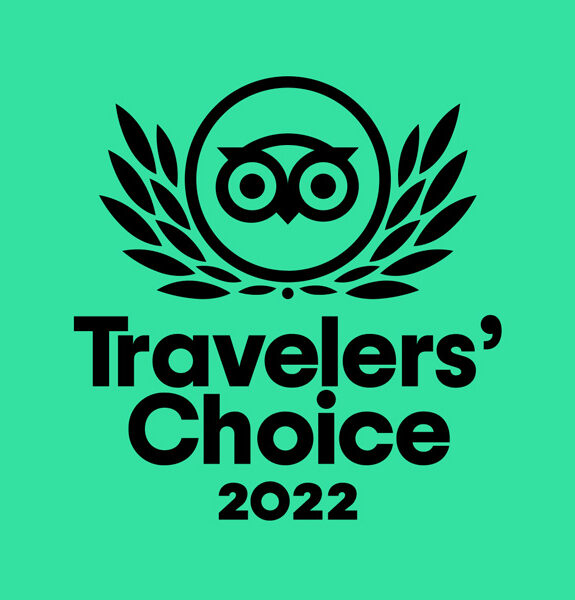 Black logo of Travelers' Choice 2022 with a stylized owl and laurel crown on a green background.