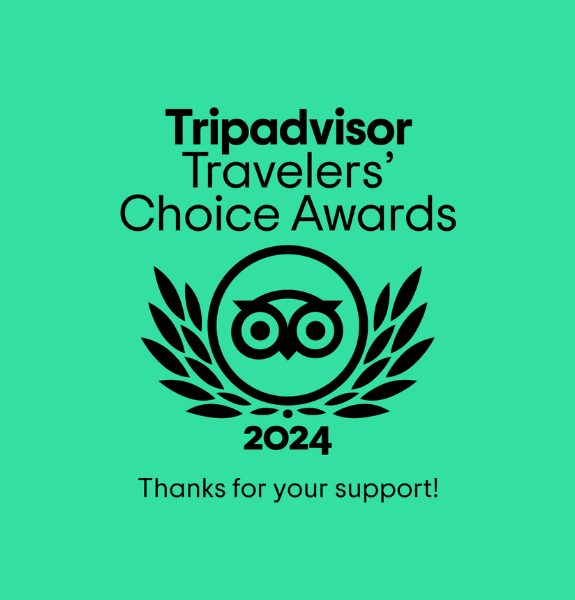TripAdvisor Travelers' Choice Awards 2024 logo with a stylized owl and a crown of leaves, green background. Thank you text.