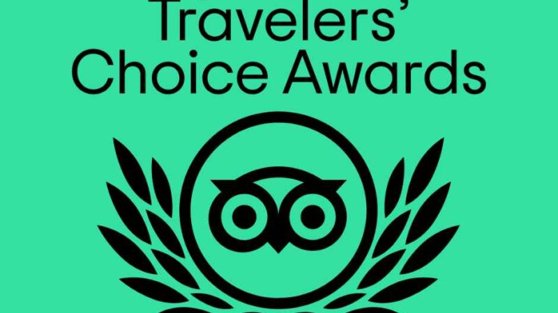 Logo nagrody "Travelers' Choice Awards 2024" od Tripadvisor na zielonym tle, z sową i wieńcem laurowym.