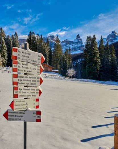 Road signs in the mountains with snow, trees, and mountains in the background under a blue sky.