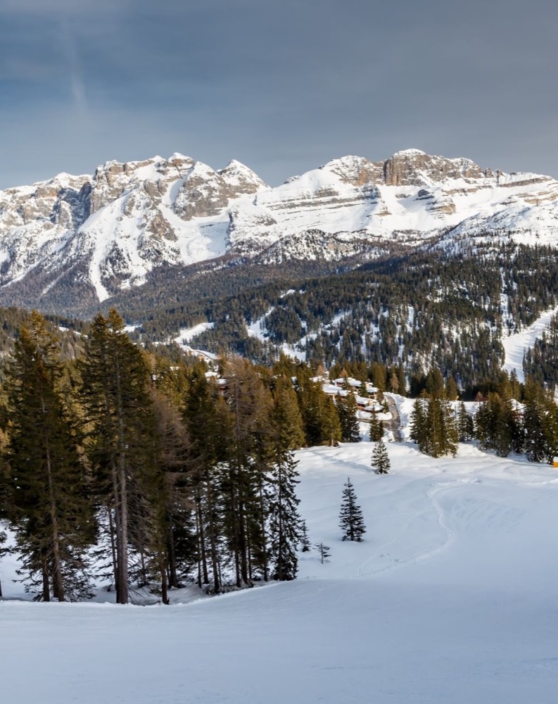 Montagne innevate con foreste e case in lontananza, sotto un cielo azzurro.