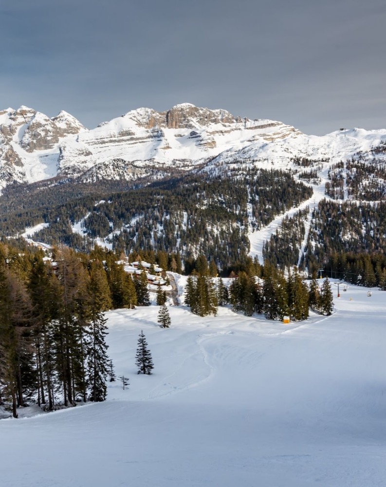 Montagne innevate con alberi e un villaggio in basso, sotto un cielo nuvoloso.