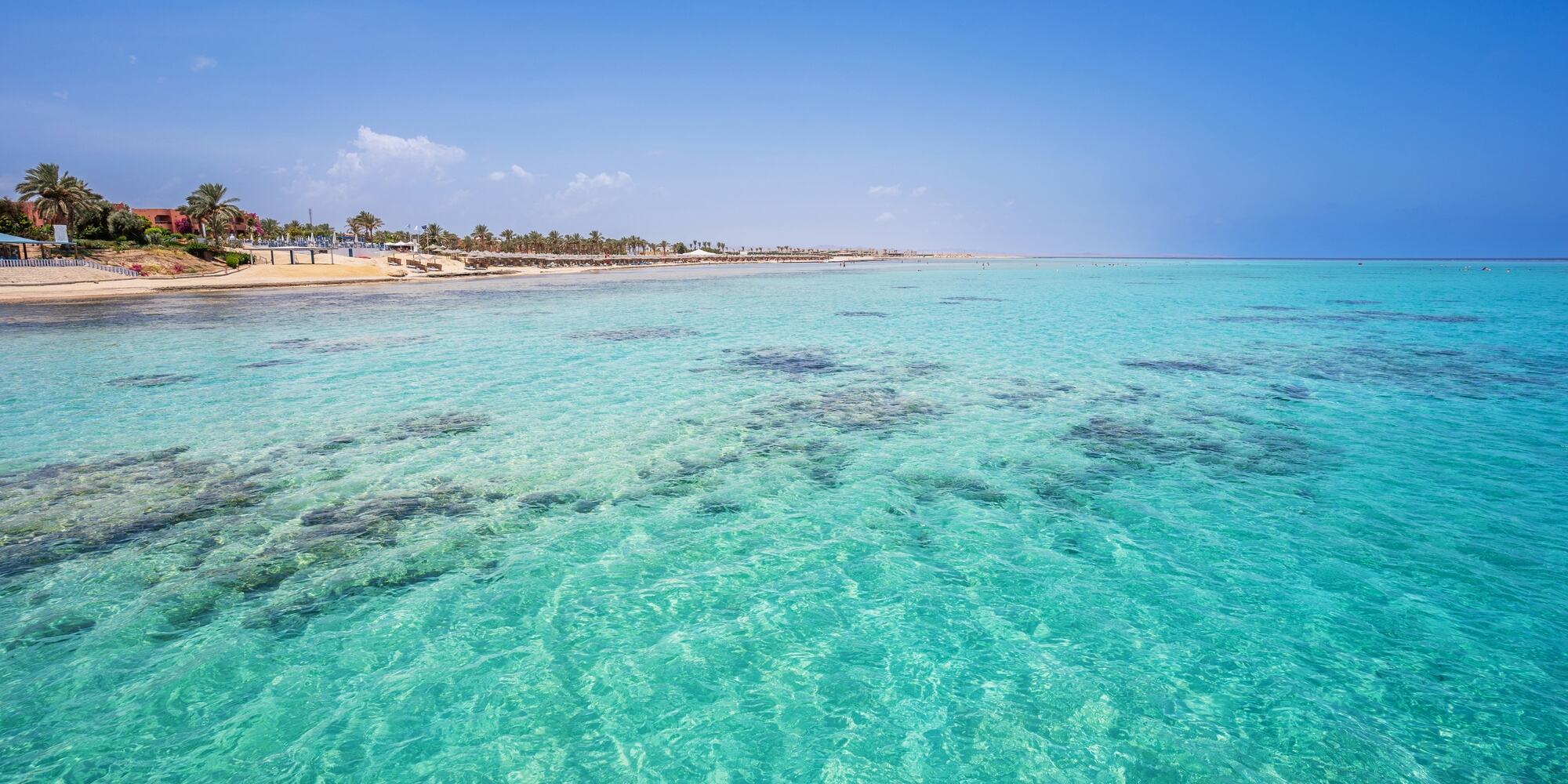 Spiaggia tropicale con acqua cristallina turchese e palme lungo la costa sabbiosa sotto un cielo sereno.