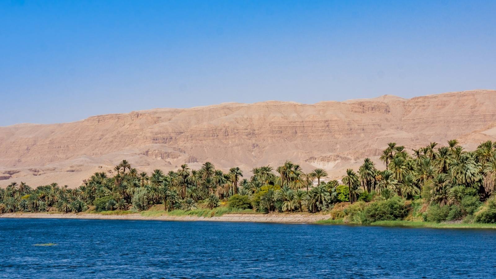 Una vista di un fiume circondato da palme, con montagne sabbiose sullo sfondo e cielo sereno.