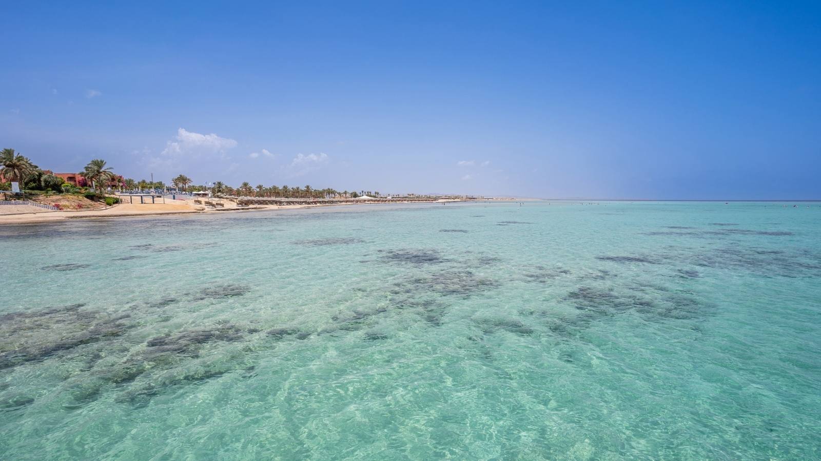 Spiaggia con palme e acque turchesi, fondale visibile e cielo sereno, creando un'atmosfera rilassante.