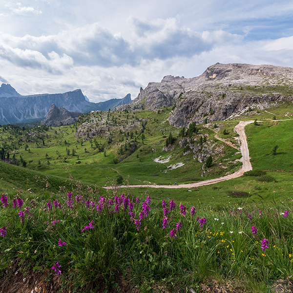 Dolomiti Estive